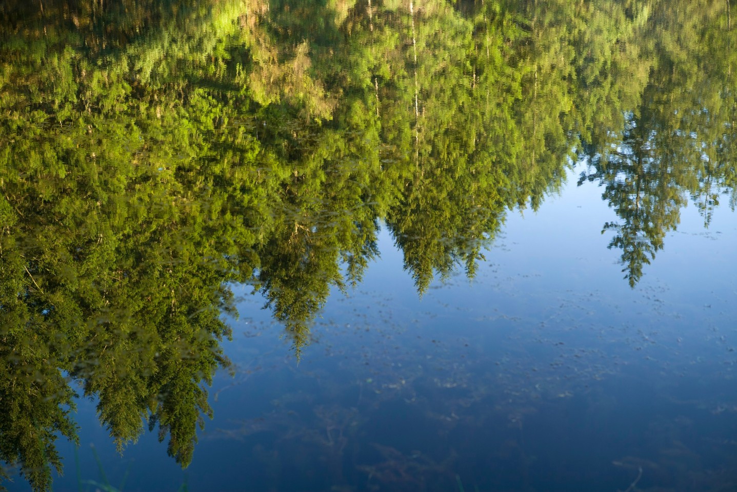 Lake reflection of the Kenzo Estate wilderness