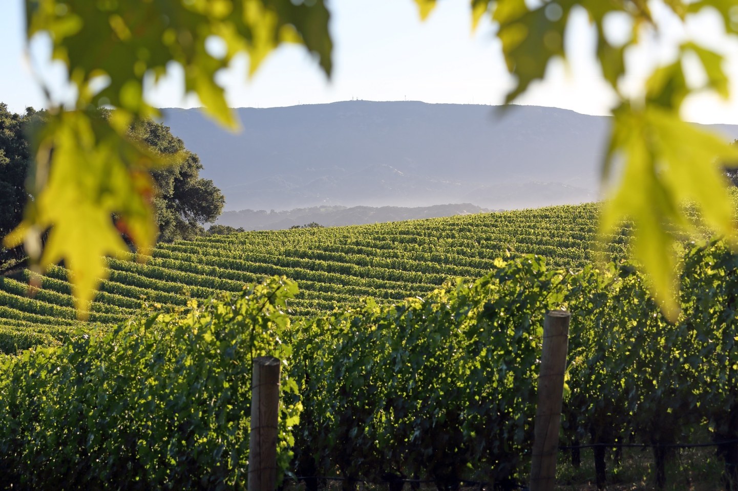 Kenzo Estate Vineyards and Winery Property Details and History