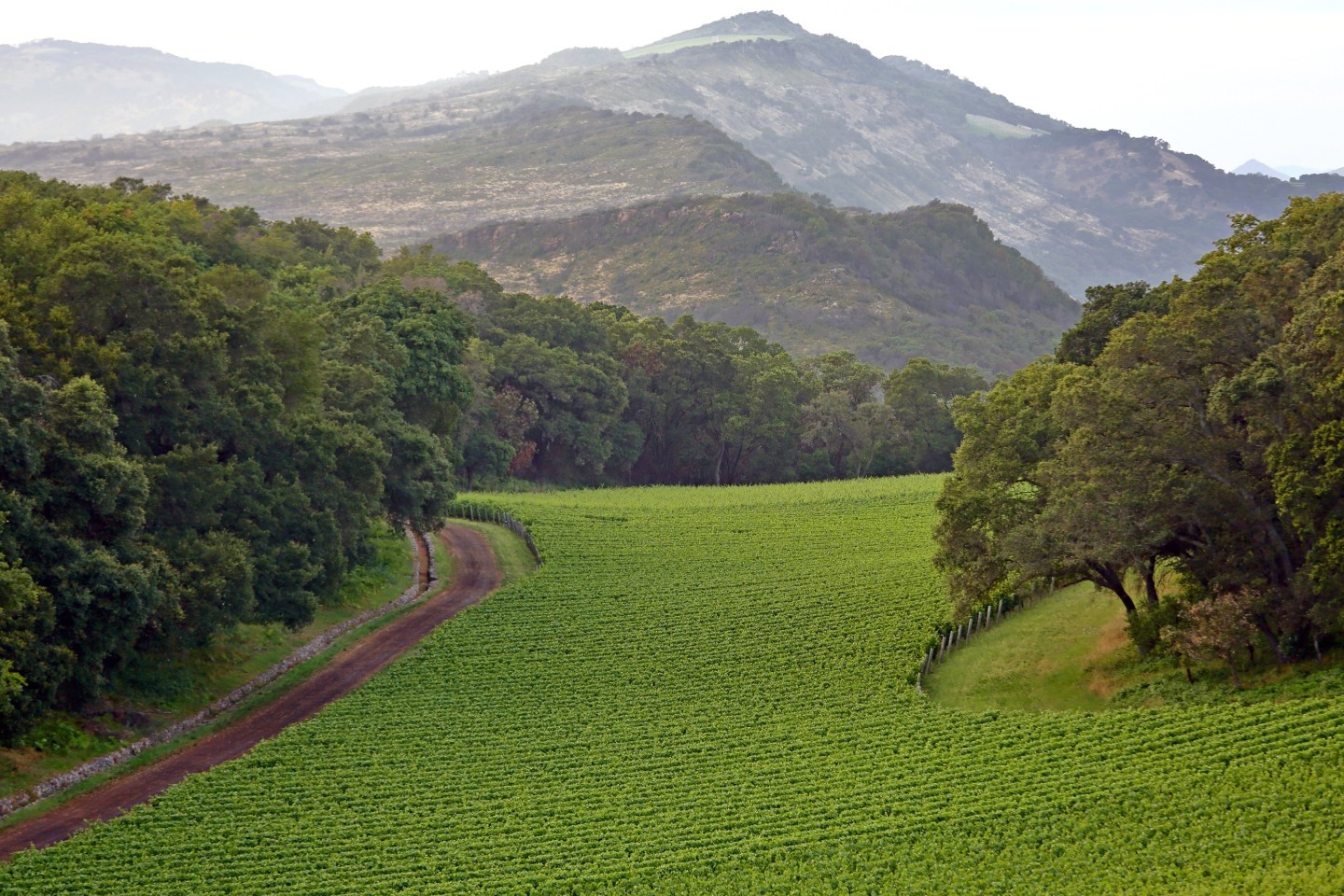 Kenzo Estate Vineyards and Winery Property Details and History