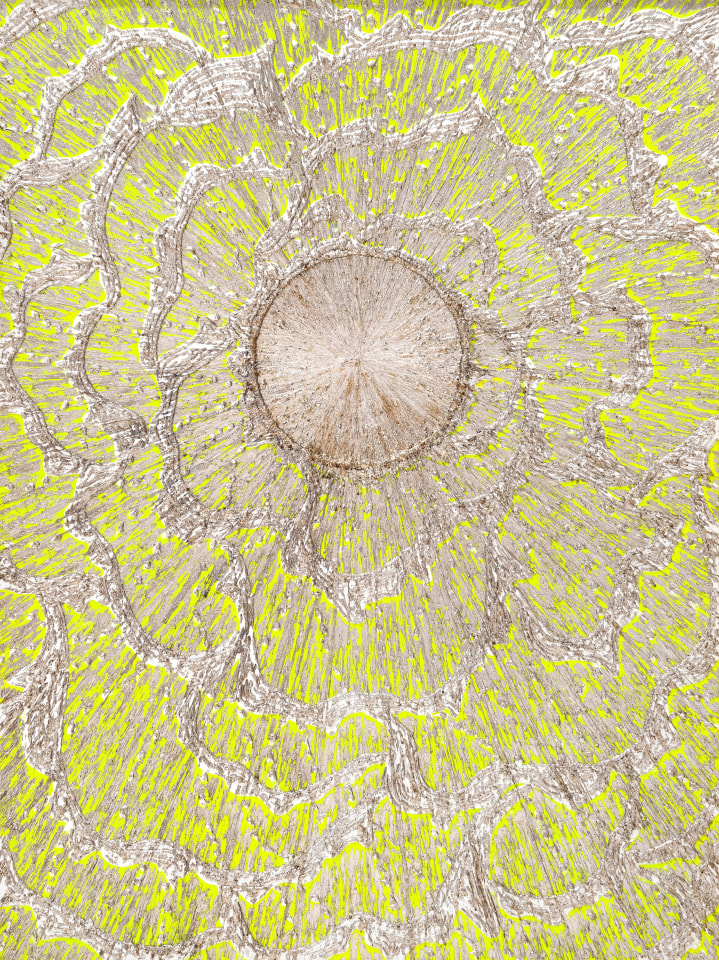 Seffa Klein, WEB (Like a Sunflower), 2022