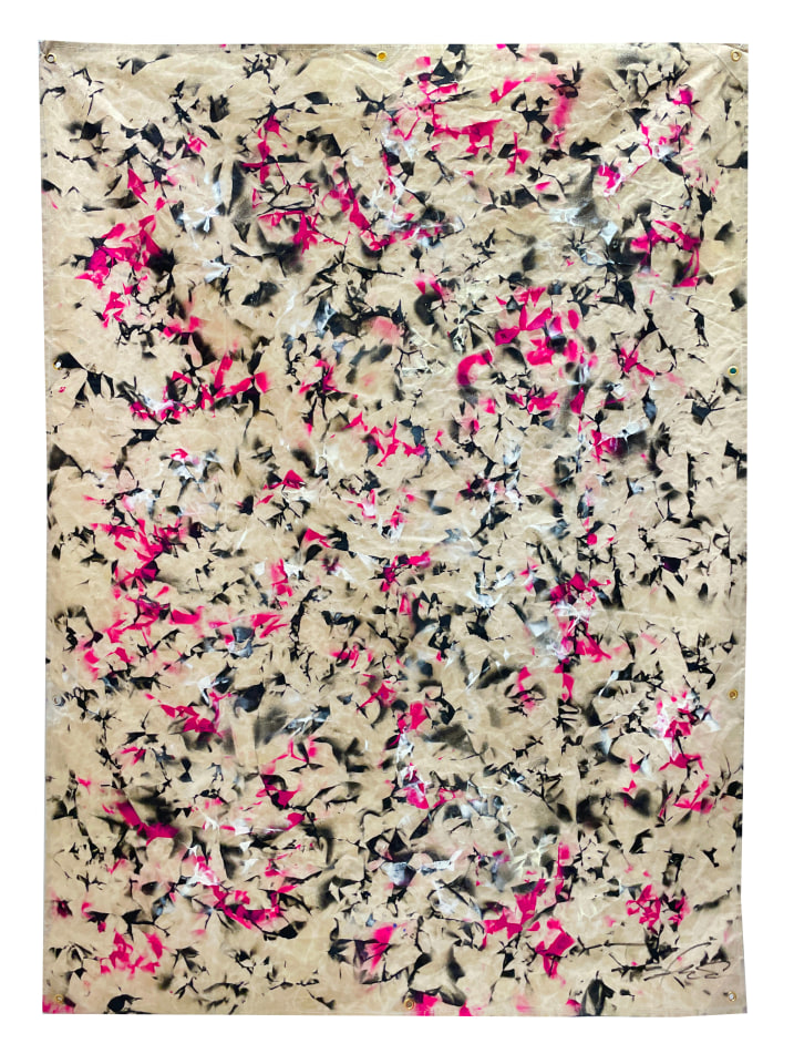 FUTURA2000, PETUNIA (black pink white), 2022