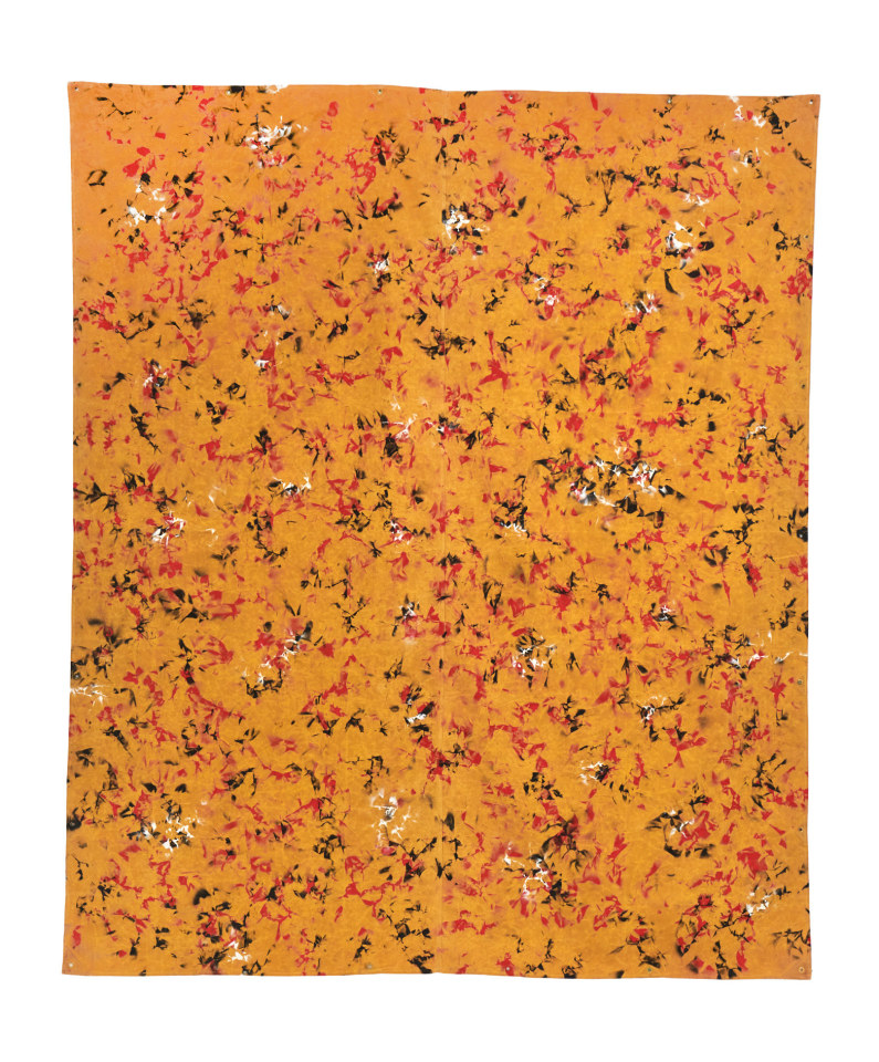 FUTURA2000, TURMERIC, 2022