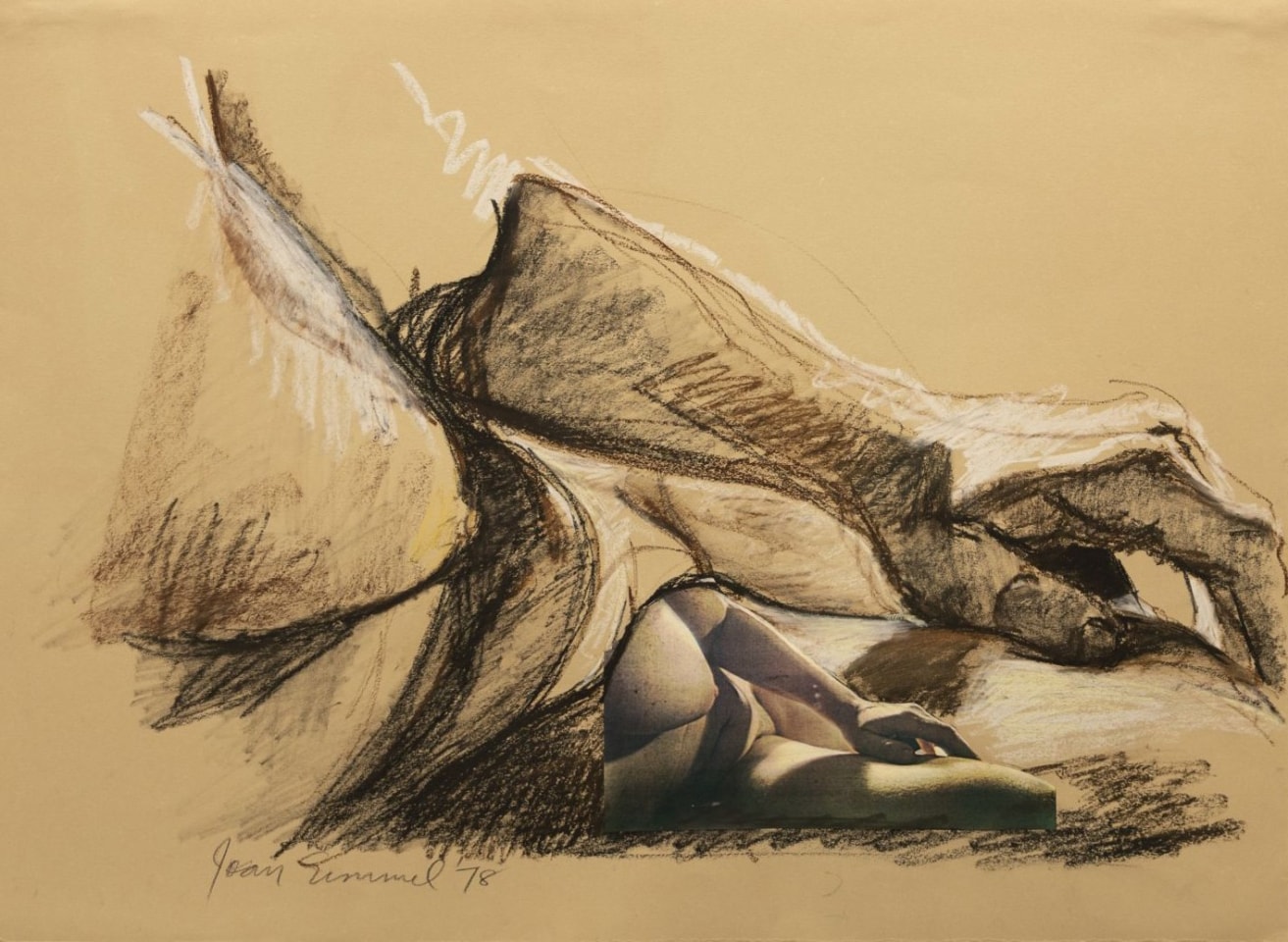 Joan Semmel (1932 -)