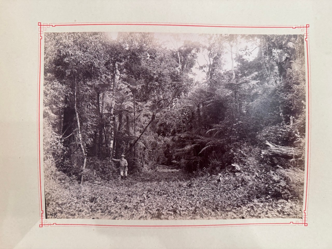 SOUTH AMERICAN SOUVENIRS DES CATHRAGTES DE L'YGUAZU ARGENTINA