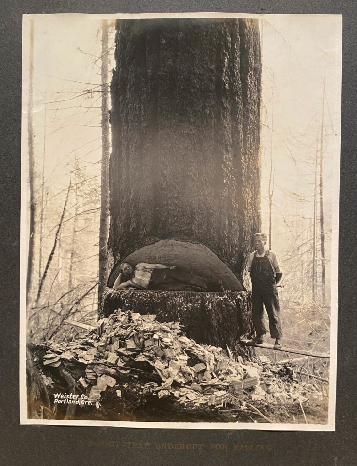 OREGON PACIFIC COAST LOGGING VIEWS GEO WEISTER PHOTO ALBUM OREGON PACIFIC COAST LOGGING VIEWS GEO WEISTER PHOTO ALBUM