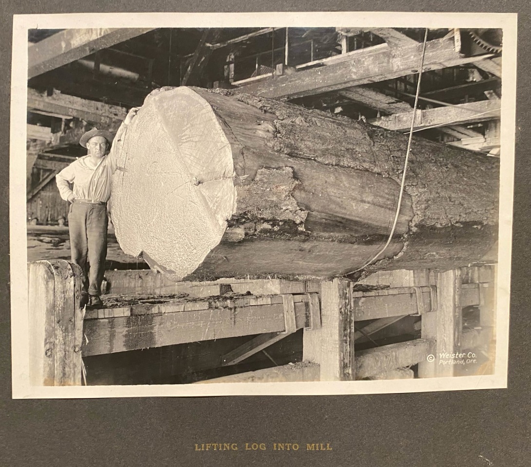 OREGON PACIFIC COAST LOGGING VIEWS GEO WEISTER PHOTO ALBUM OREGON PACIFIC COAST LOGGING VIEWS GEO WEISTER PHOTO ALBUM