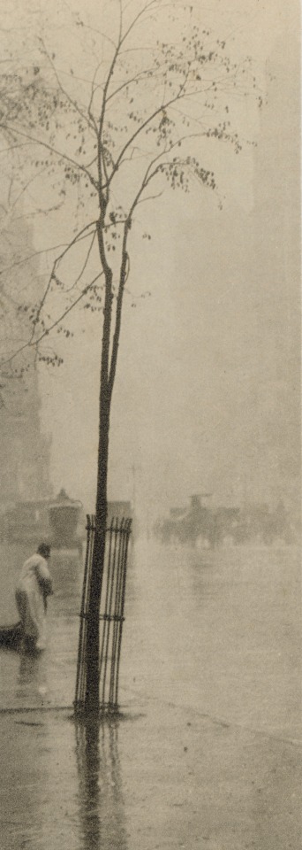 ALFRED STIEGLITZ (American, 1864-1946)
