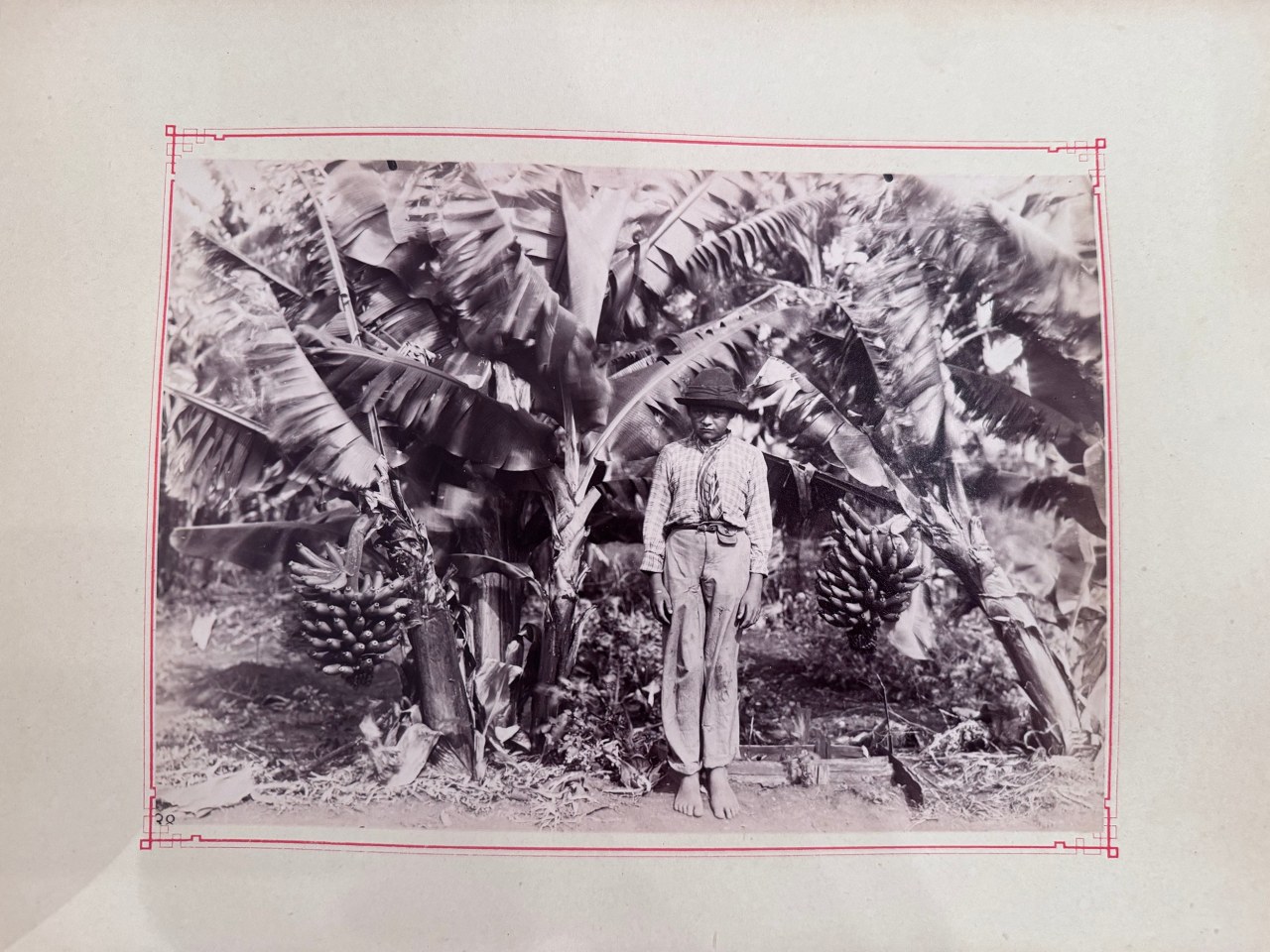 SOUTH AMERICAN SOUVENIRS DES CATHRAGTES DE L'YGUAZU ARGENTINA