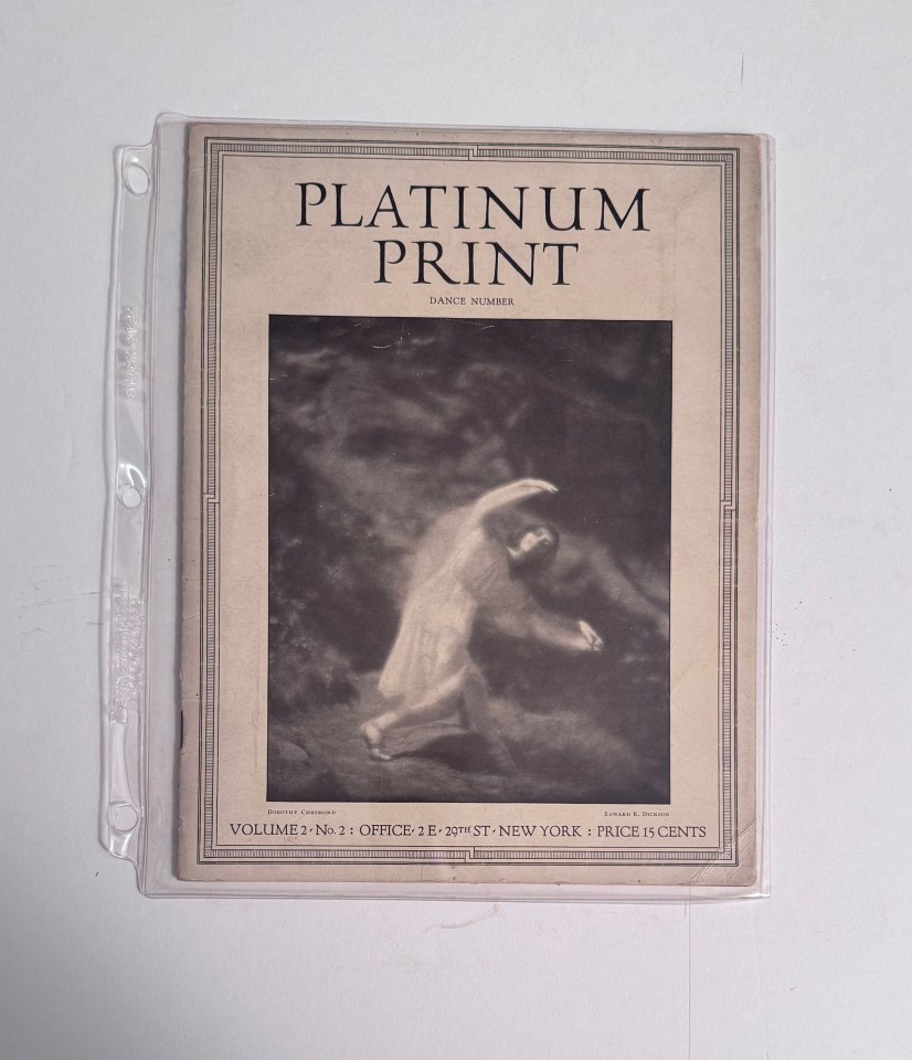 PLATINUM PRINT AND PHOTO=GRAPHIC ART ISSUES