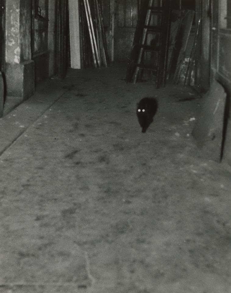 Sabine Weiss (French, 1924 &ndash; 2021), Lamps, c. 1950s