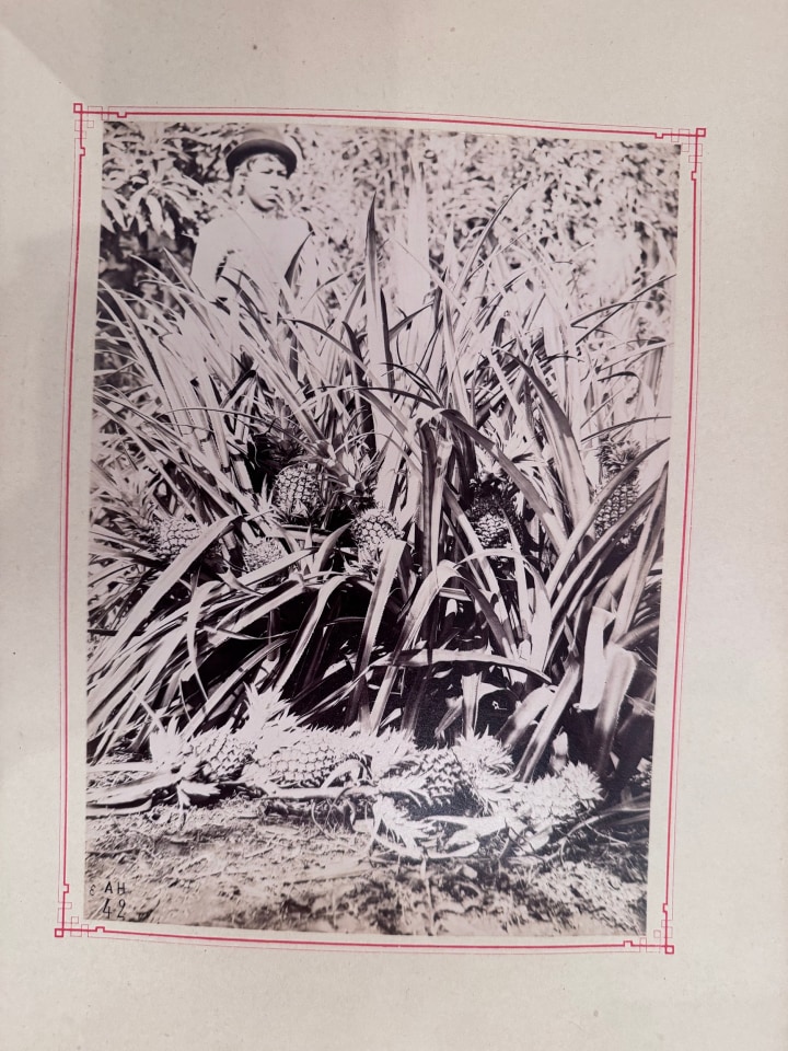 SOUTH AMERICAN SOUVENIRS DES CATHRAGTES DE L'YGUAZU ARGENTINA