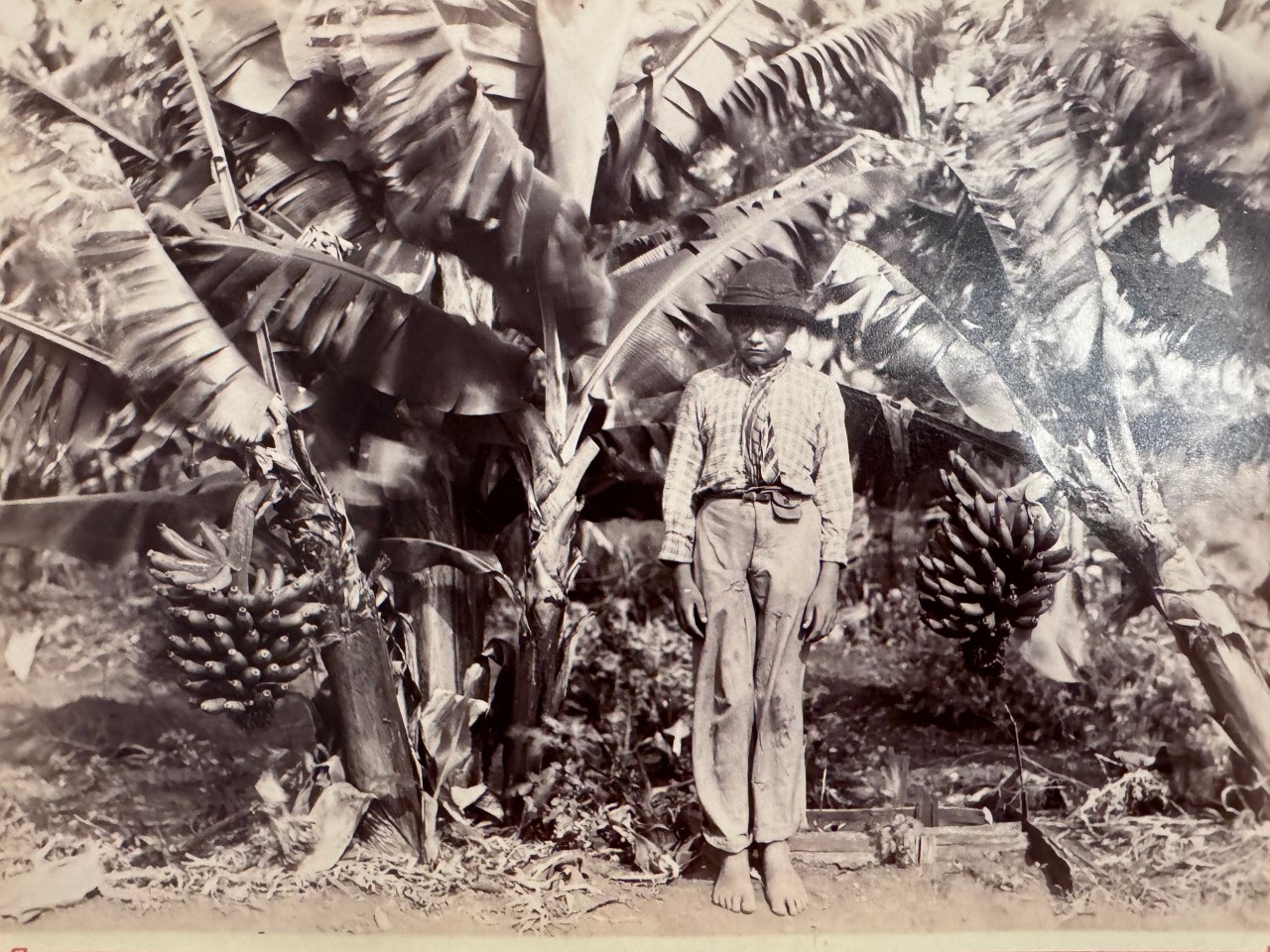 SOUTH AMERICAN SOUVENIRS DES CATHRAGTES DE L'YGUAZU ARGENTINA