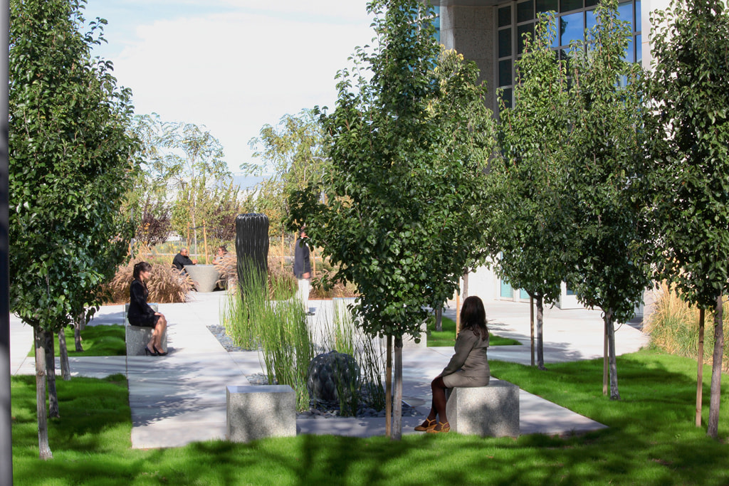 Black Diamond Fountain Plaza