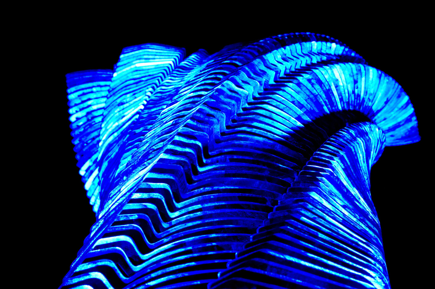 Avenue of Light