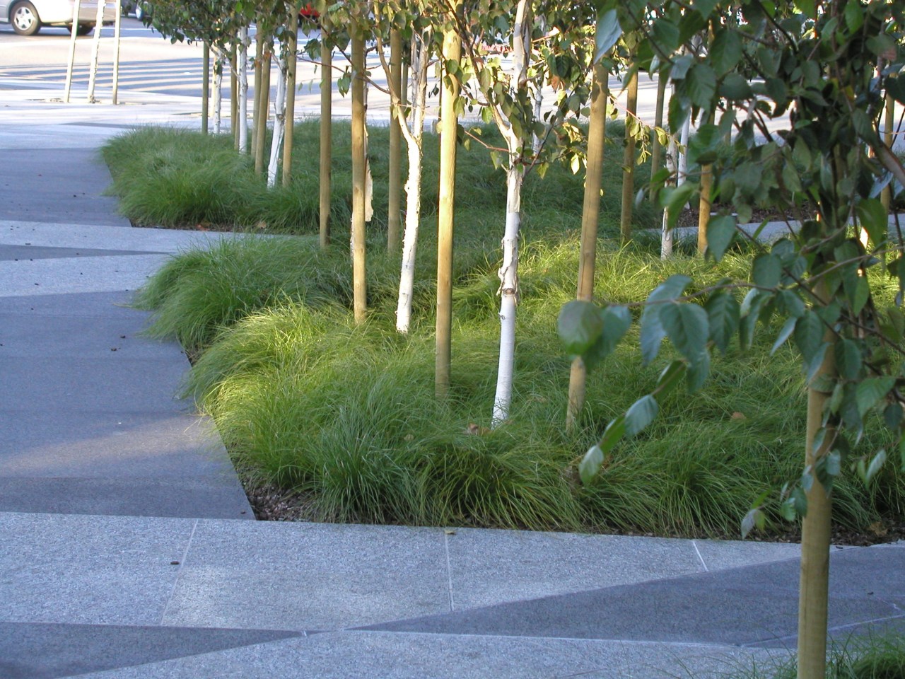 Walnut Creek Veterans Memorial