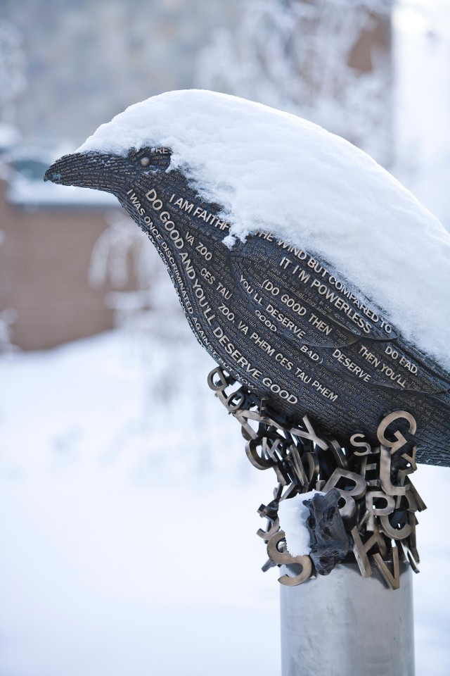 Raven Song