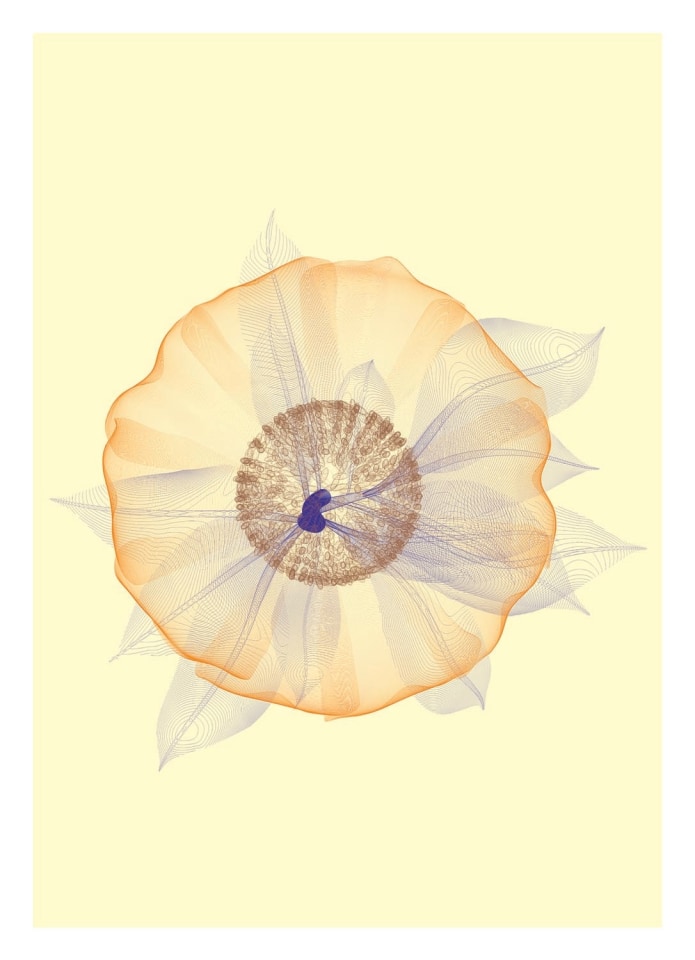 Poppies & Lillies Edition