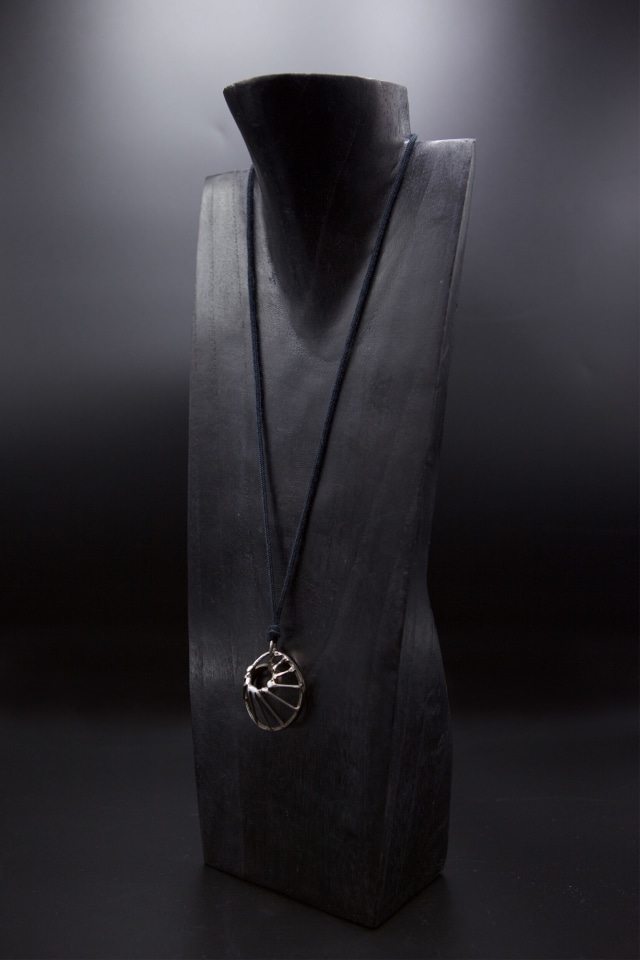 Alain Douillard's pendant diagonal view