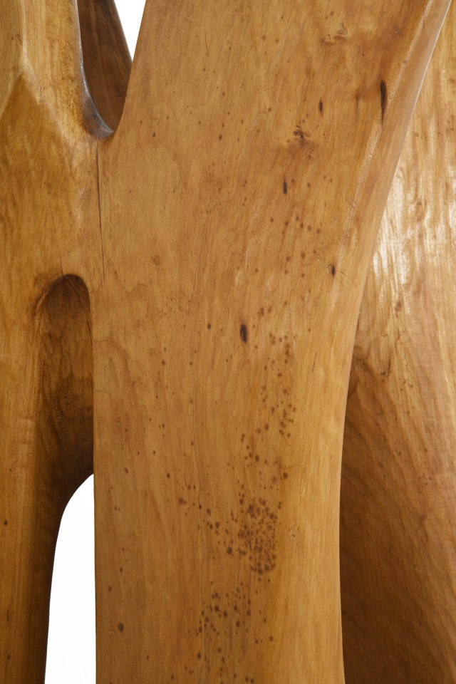 Paul de Ghellinck's wooden sculpture detailed view of wood