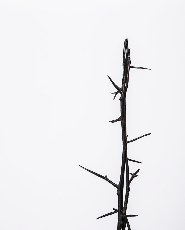 Michele Oka Doner's Terrible Chair, detailed view of thorns