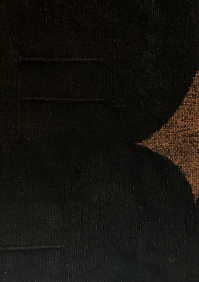 Ilina Horning Tapestry