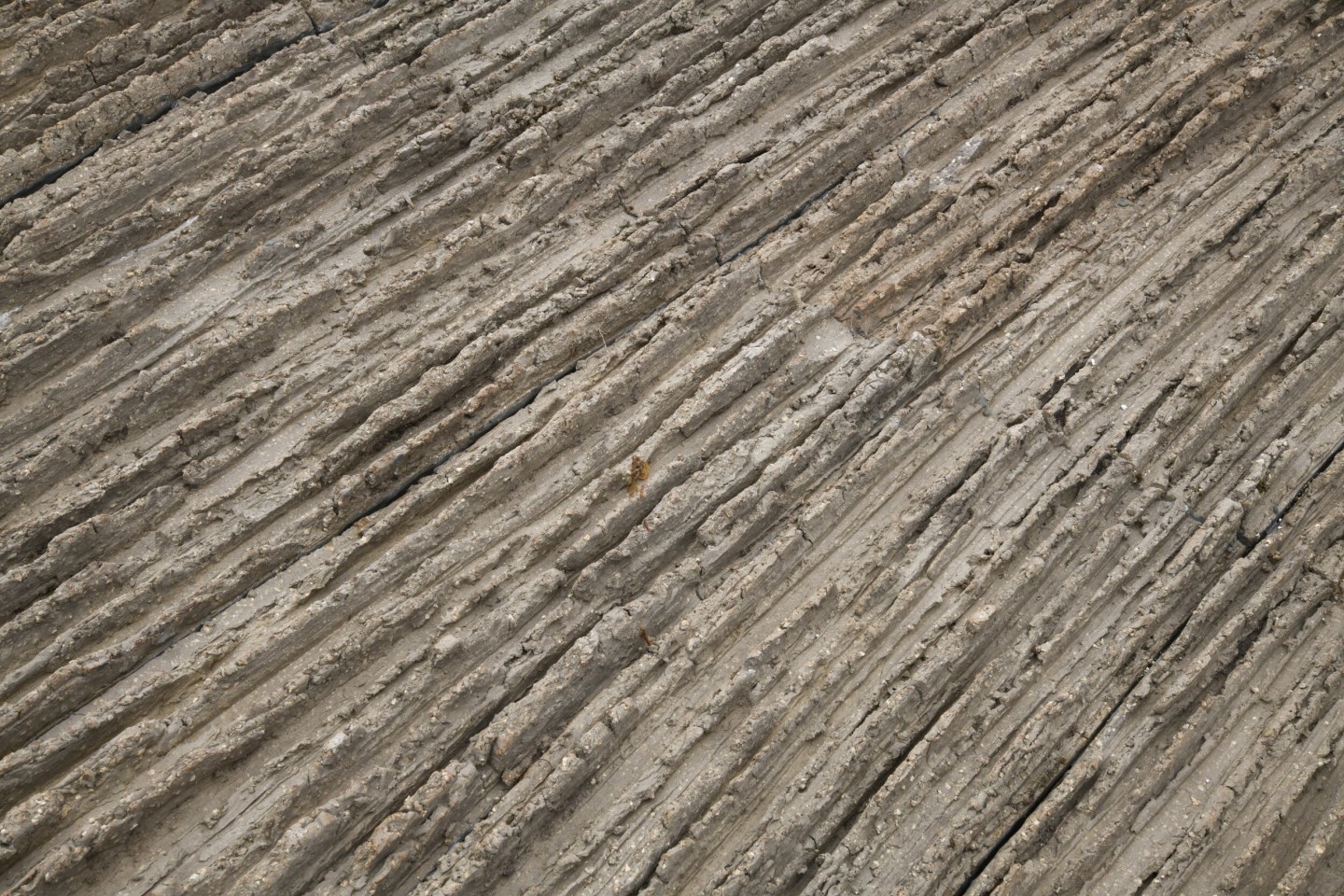 Anne Barr&egrave;s' coffee table detail of clay