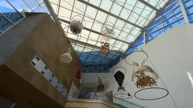 Divas Ascending - Time-Lapse Deinstallation at the Taubman Museum