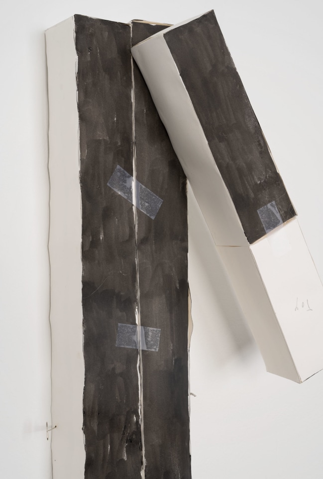 Richard Tuttle Calder/TuttleTentative Exhibitions David