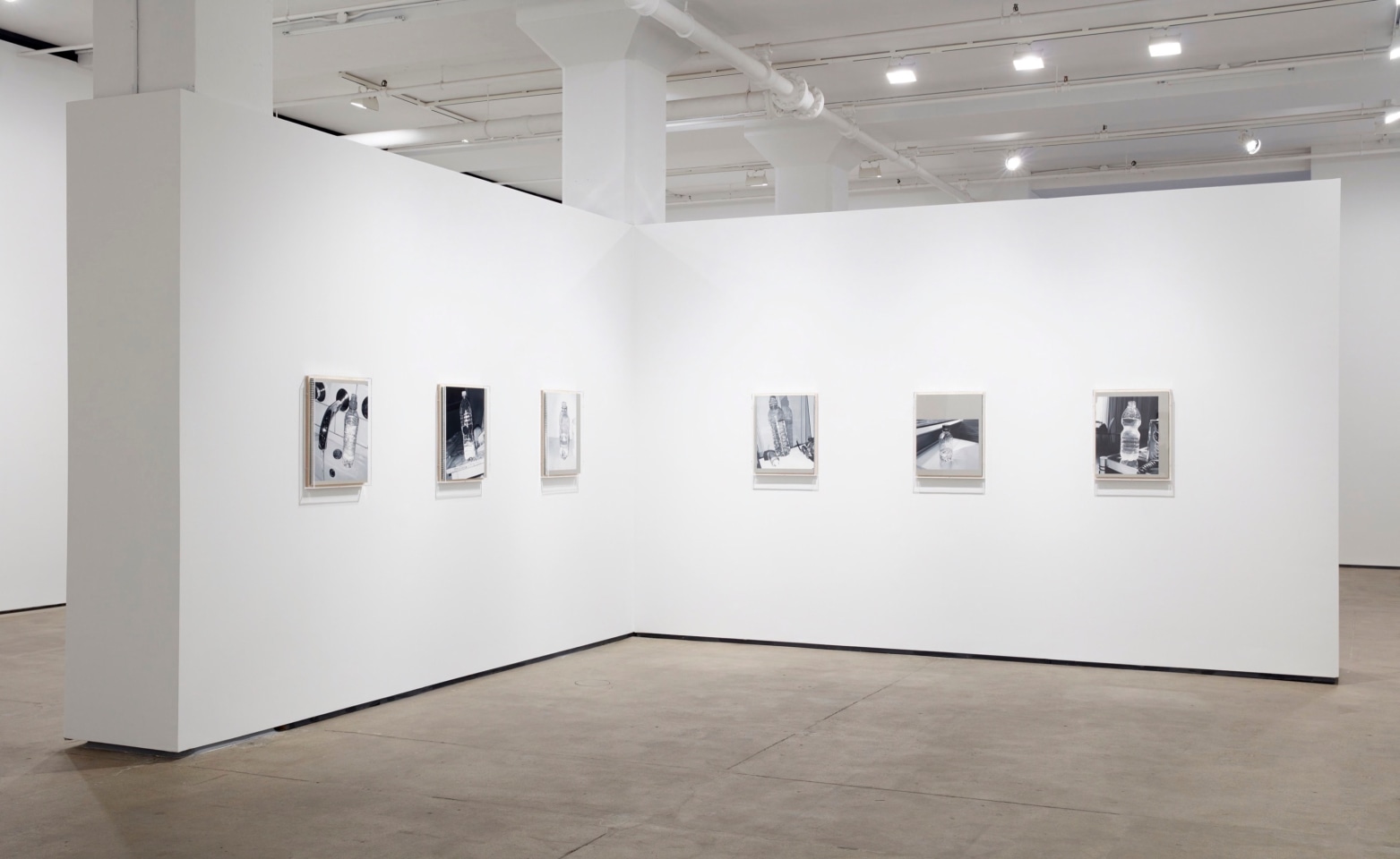 James White Sean Kelly Gallery