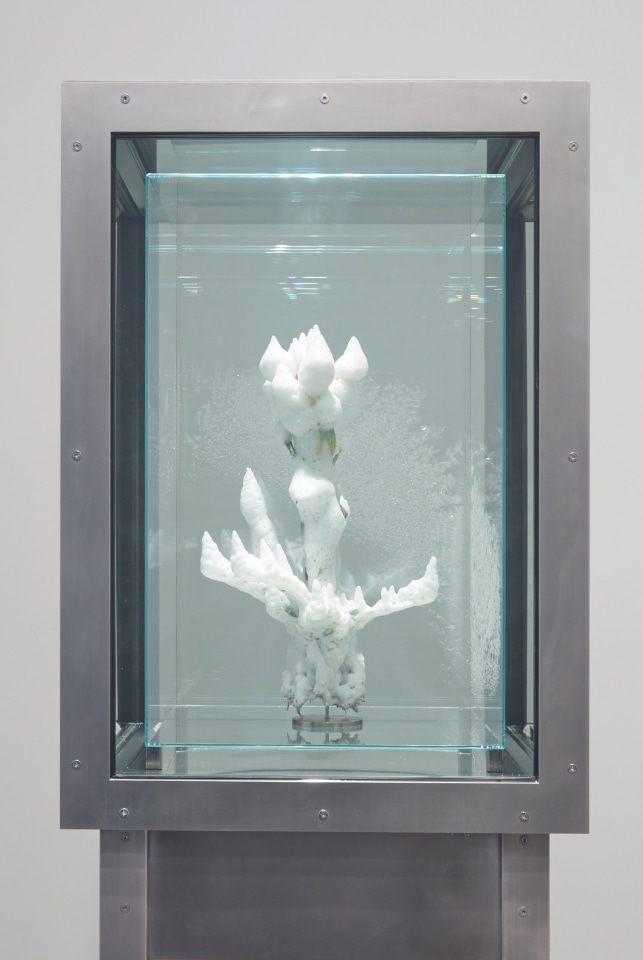 Julian Charriere Sean Kelly Gallery