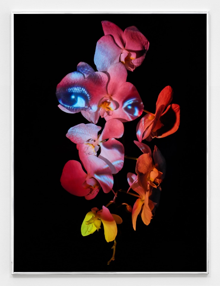 Awol Erizku, Transfixion (AI Woman), 2025