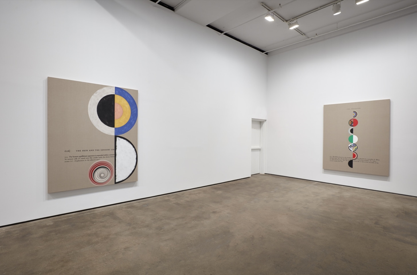 Installation view of Jose D&aacute;vila: The Circularity of Desire at Sean Kelly, New York