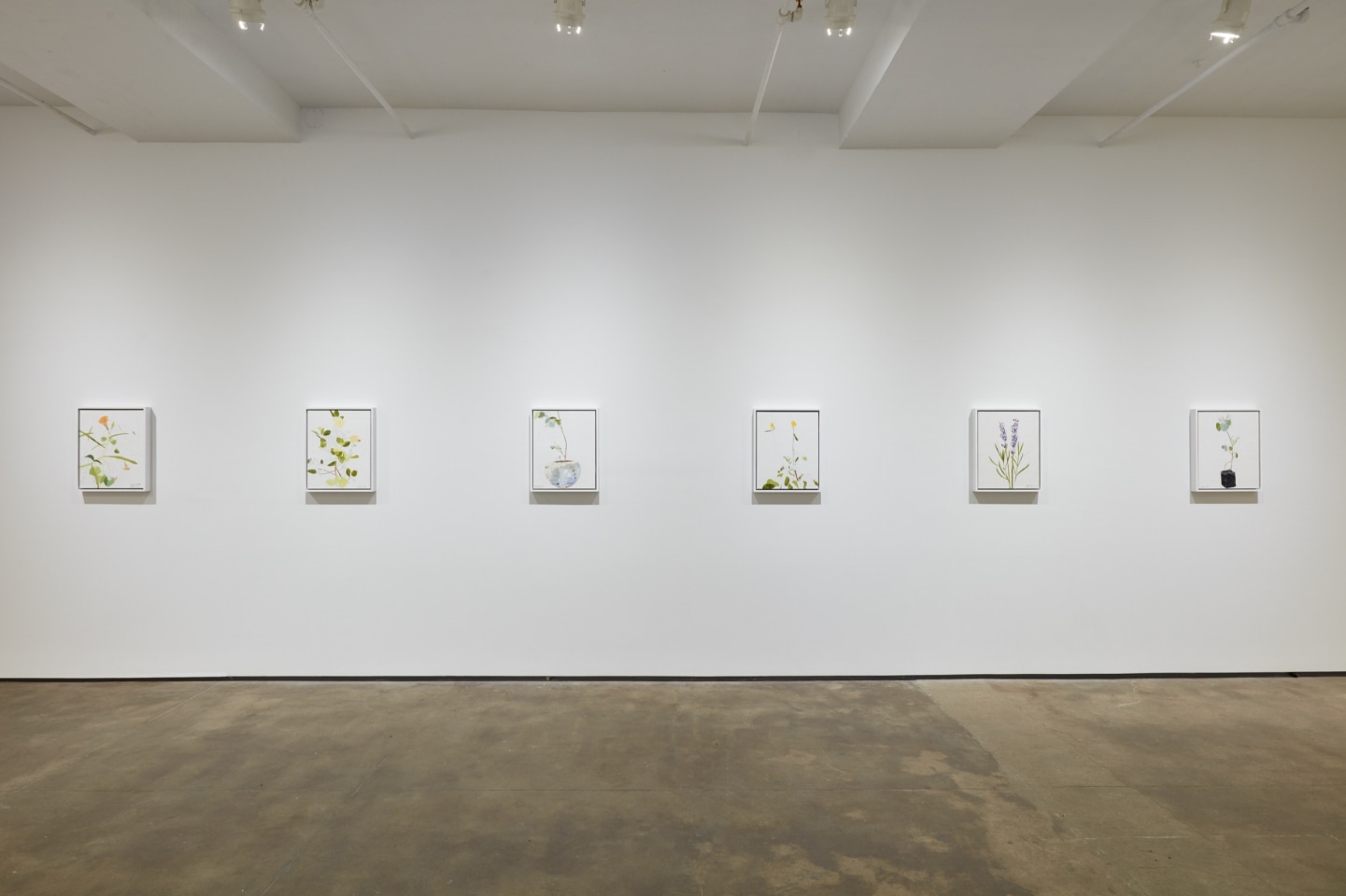 Installation view of Hugo McCloud: Burdened at Sean Kelly, New York