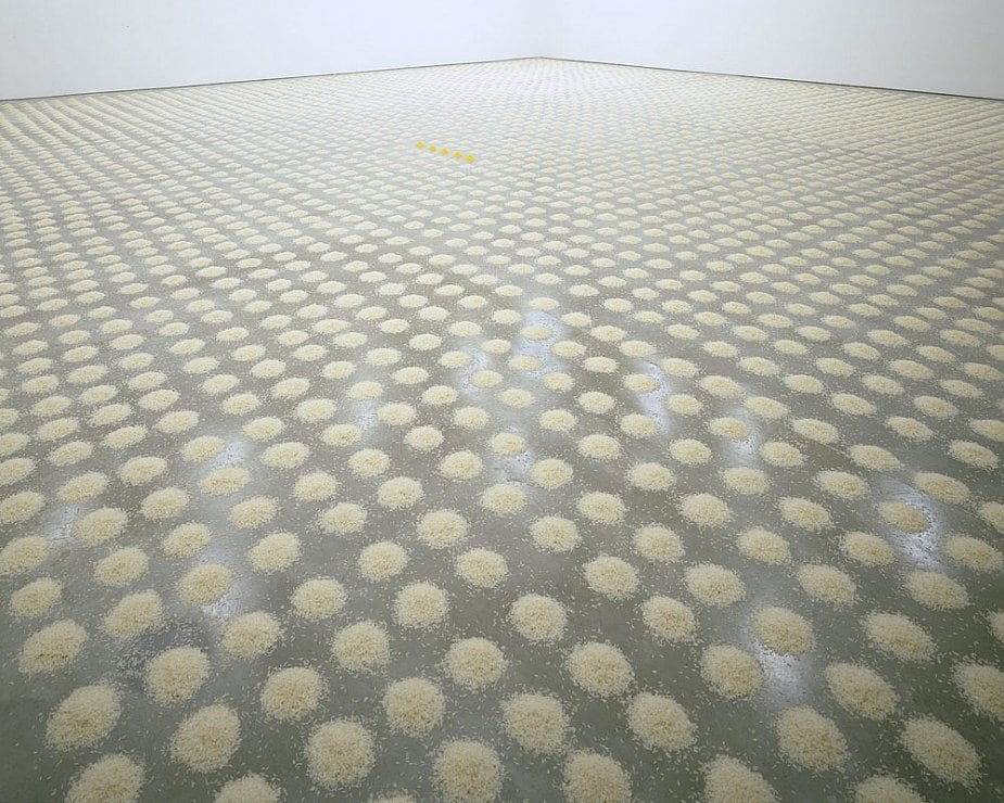 Wolfgang Laib Sean Kelly Gallery