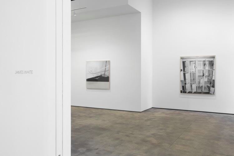 James White Sean Kelly Gallery