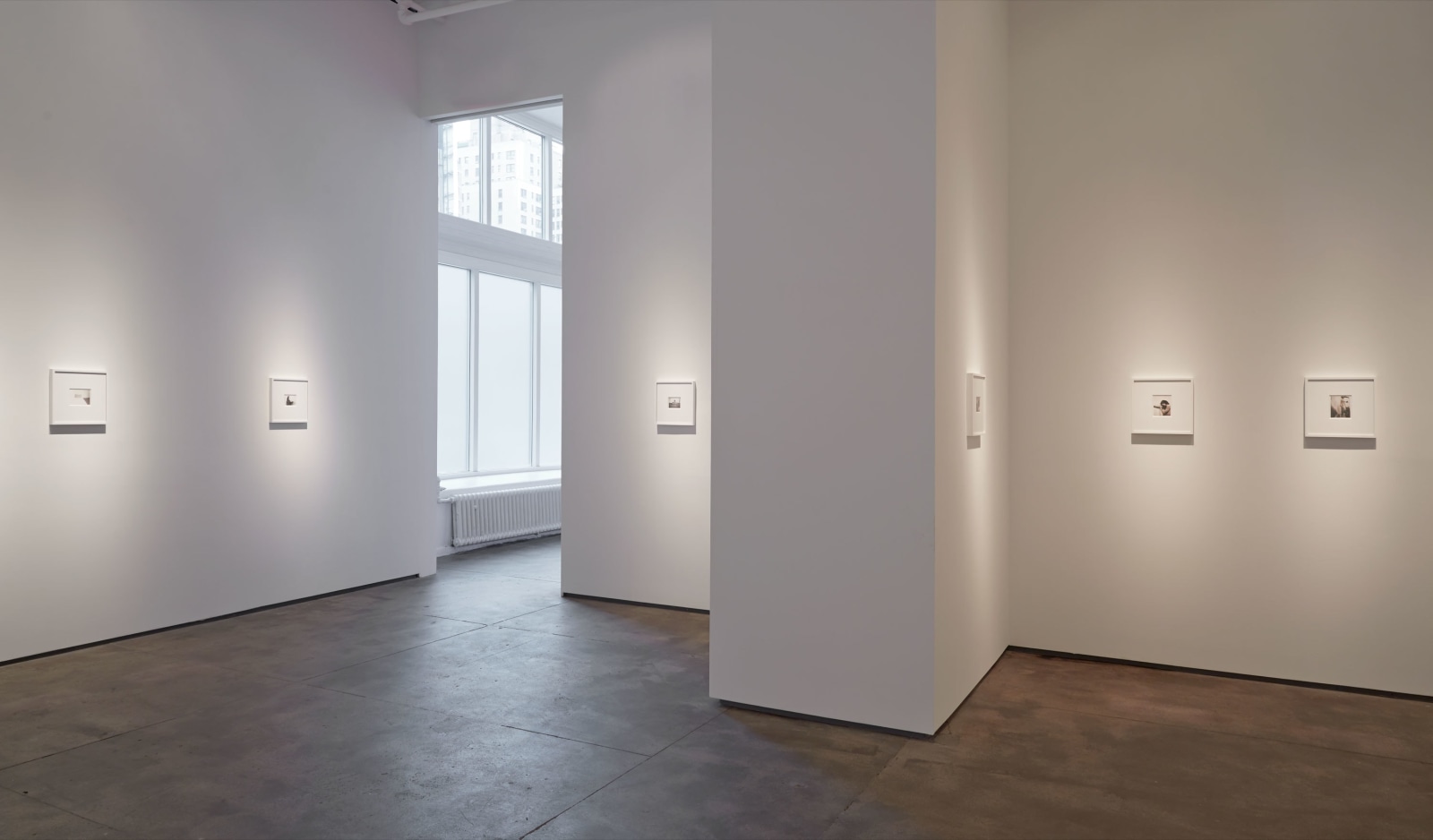 Robert Mapplethorpe Sean Kelly Gallery