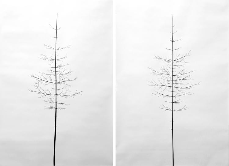 Peter Liversidge Sean Kelly Gallery