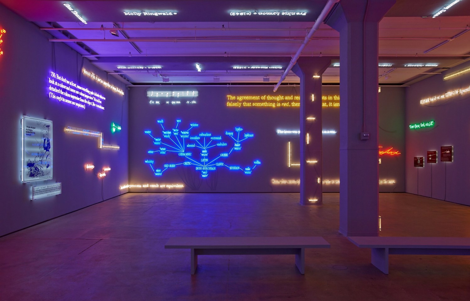 'Agnosia, an Illuminated Ontology' Sean Kelly Gallery