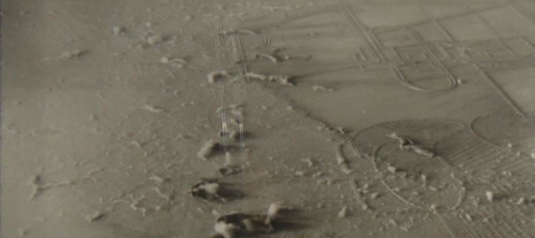 Marcel Duchamp Sean Kelly Gallery