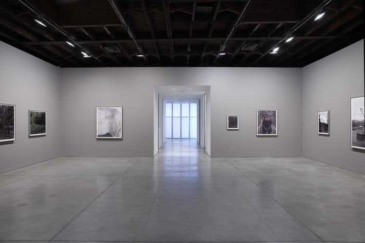 Alec Soth Sean Kelly Gallery