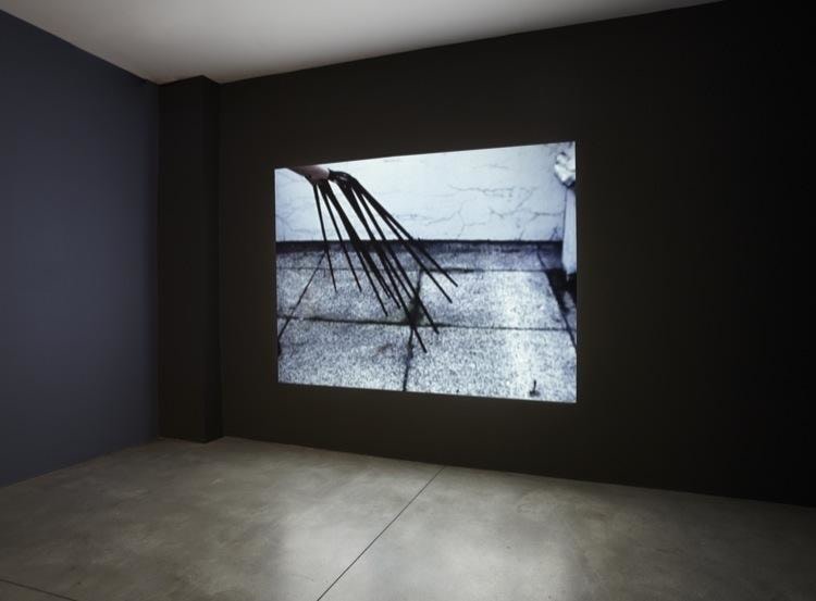 Disruptive Desires Sean Kelly Gallery