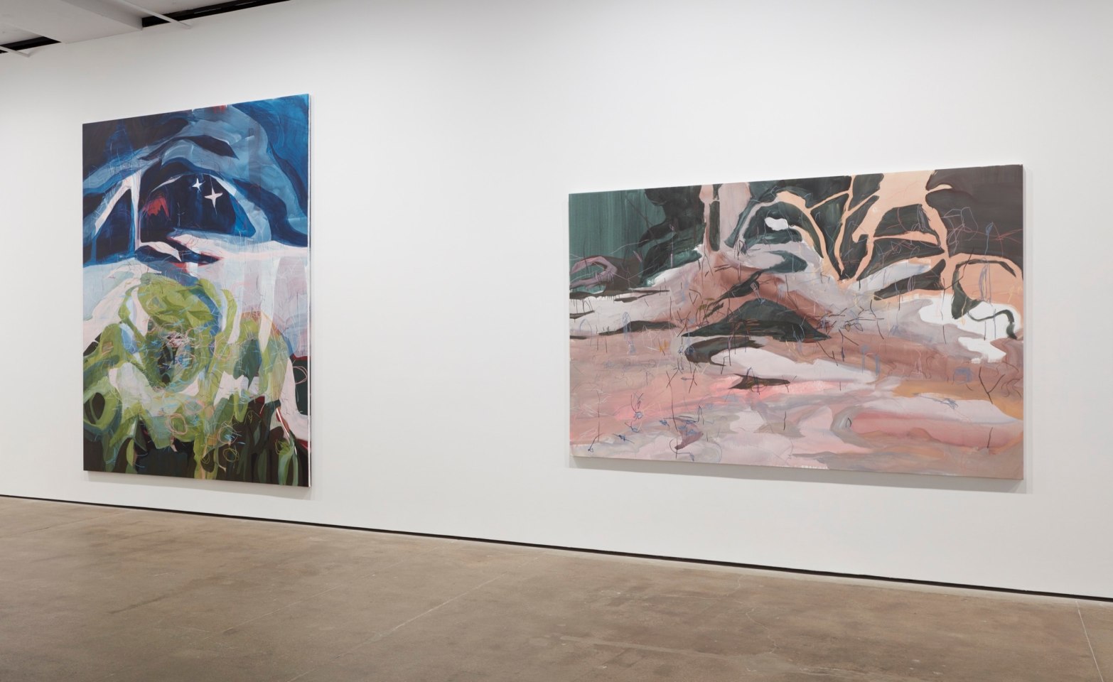 Installation view of&nbsp;Janaina Tsch&auml;pe: HumidGray and ShadowLake&nbsp;at Sean Kelly, New York
