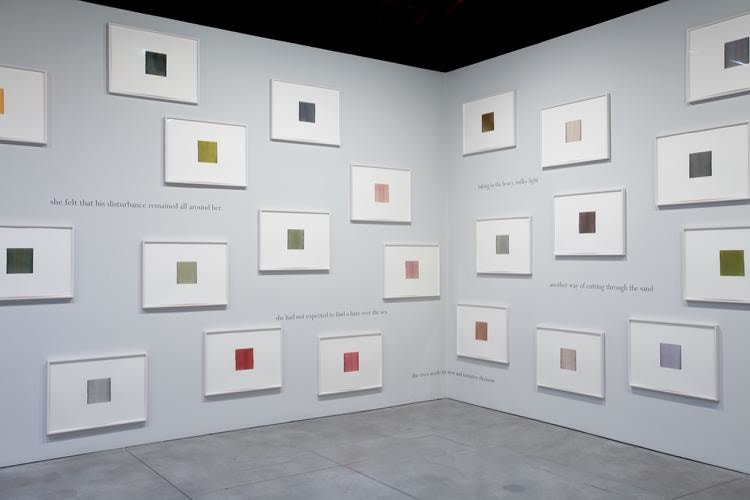 Callum Innes Colm Toibin Sean Kelly Gallery