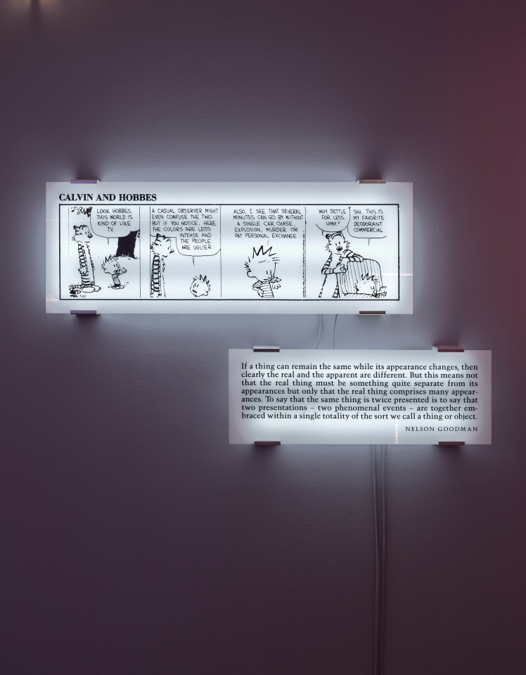 Joseph Kosuth Sean Kelly Gallery