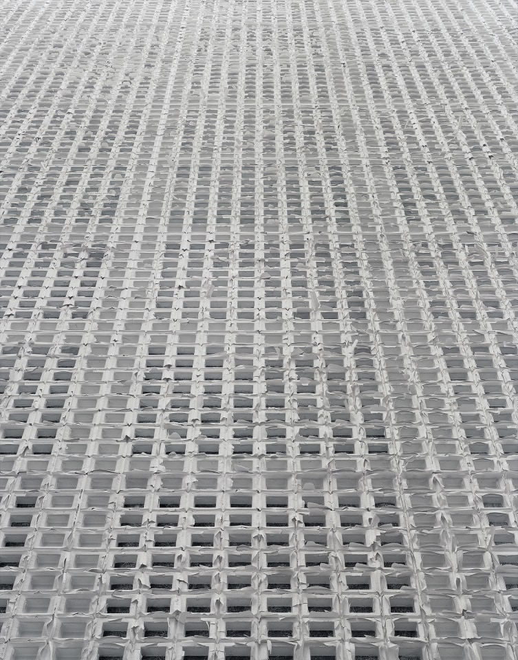 Frank Thiel Sean Kelly