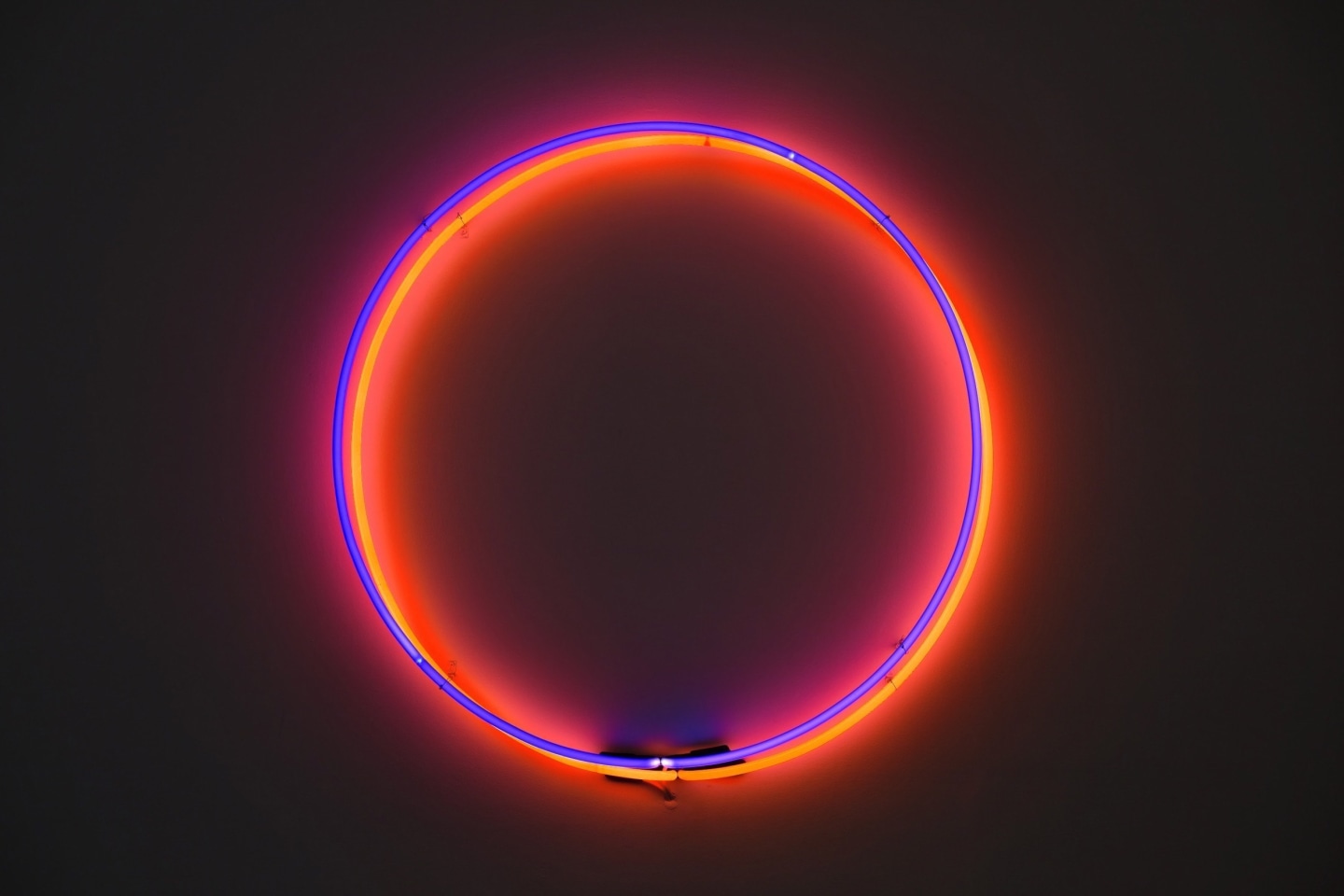 Laurent Grasso Sean Kelly Gallery