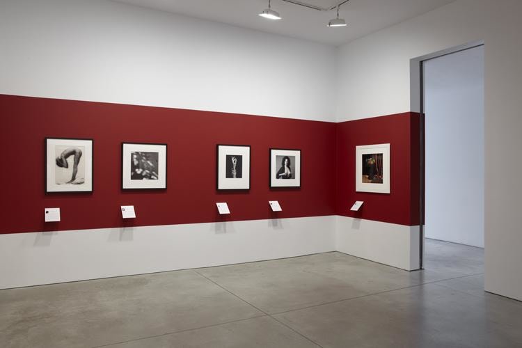 Robert Mapplethorpe Sean Kelly Gallery