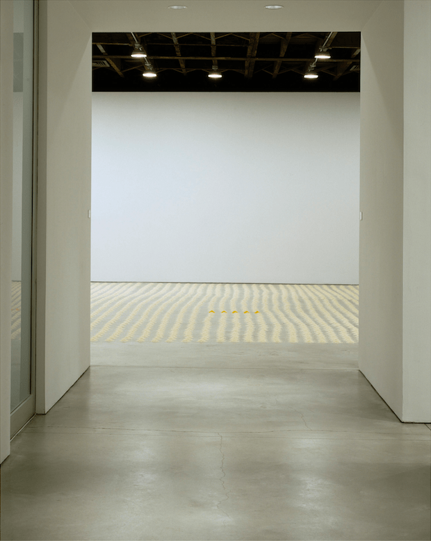 Wolfgang Laib Sean Kelly Gallery