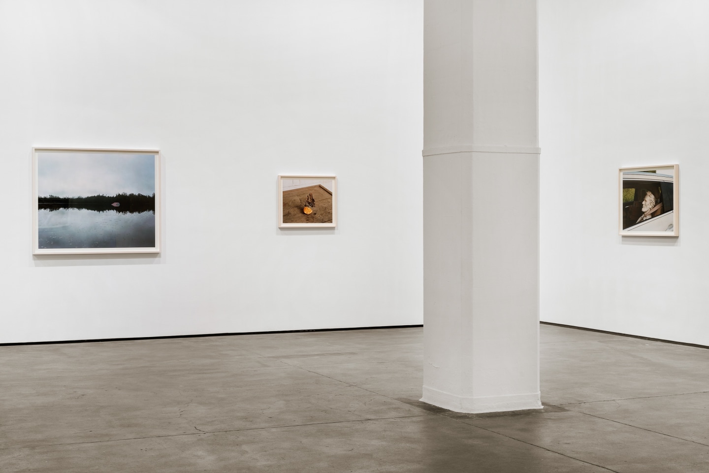 Alec Soth: A Pound of Pictures