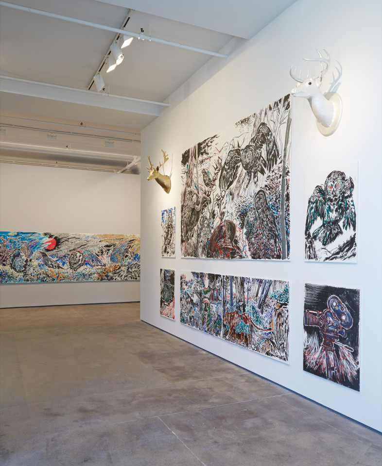 Sun Xun Sean Kelly Gallery